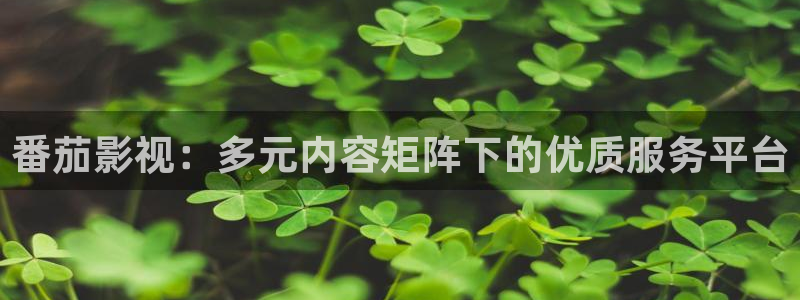 剑来策驰影院免费观看