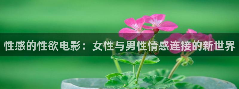 策驰影院在线电视剧